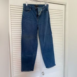 Banana Republic Washwell High Rise Straight Jean
